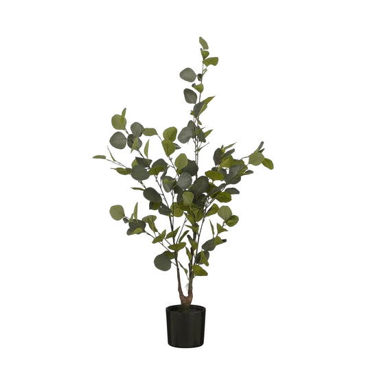 Eucalyptus Tree In Pot Green - H120Xd55Cm