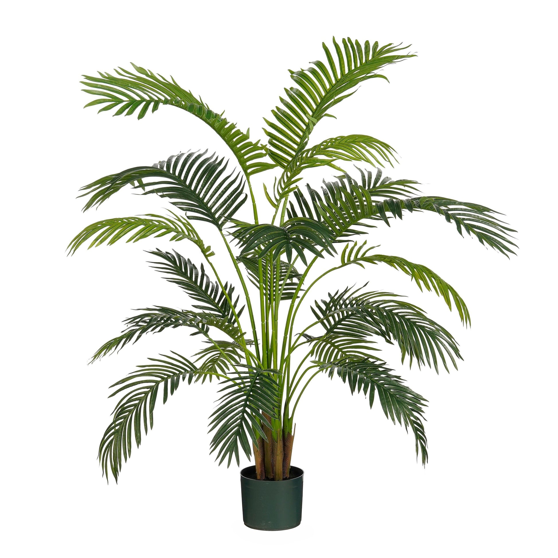 Areca Palm In Pot Green Waterproof & Uv Resistant - H134Xd50Cm