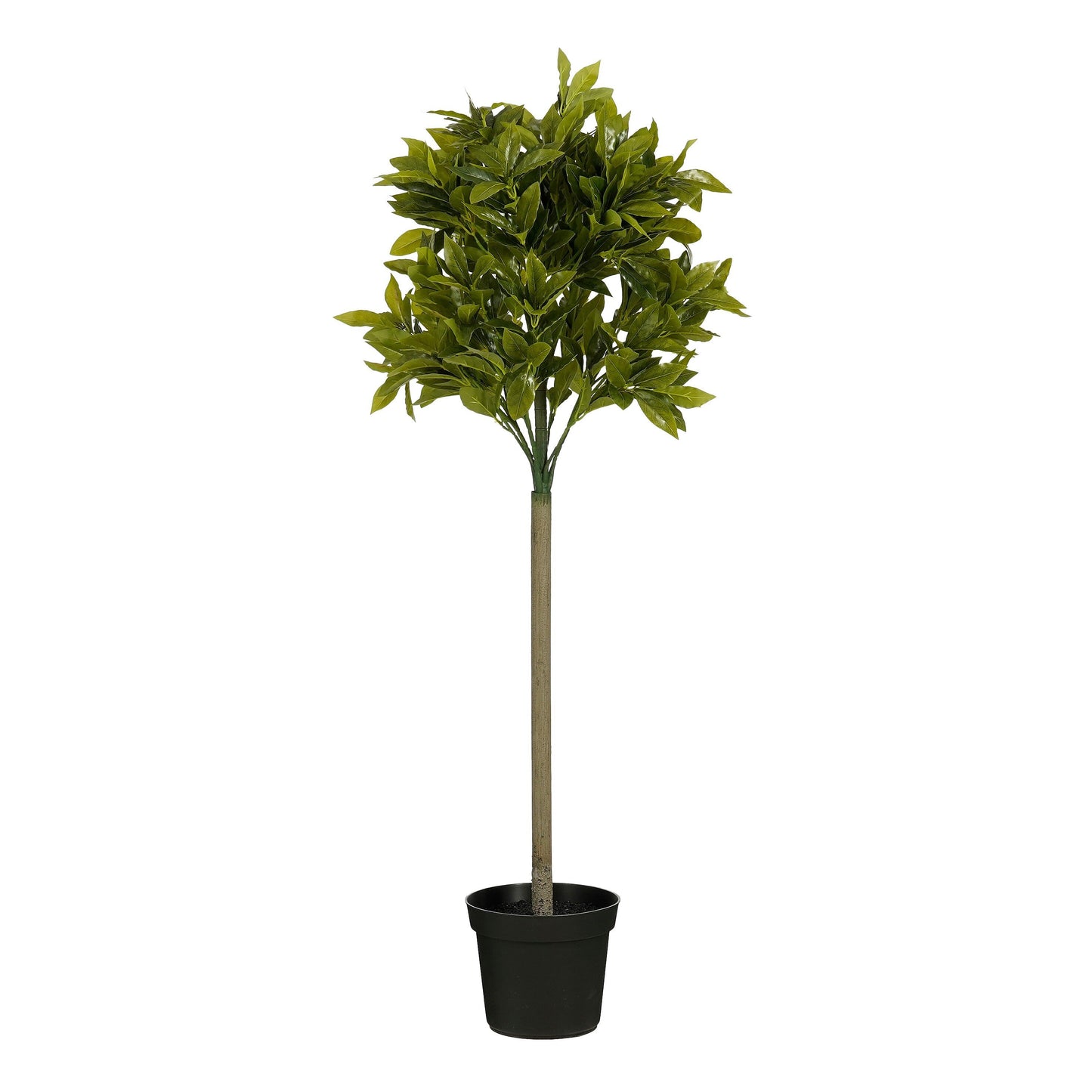Laurel Tree Green Waterproof & Uv Resistant - H120Xd40Cm