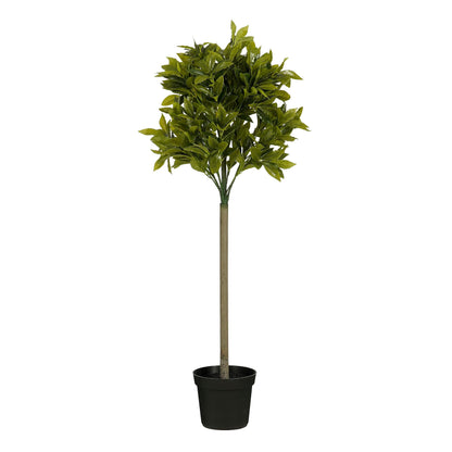 Laurel Tree Green Waterproof & Uv Resistant - H120Xd40Cm