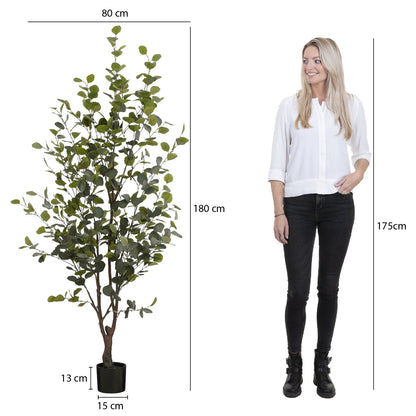 Eucalyptus Tree In Pot Green - H180Xd80Cm
