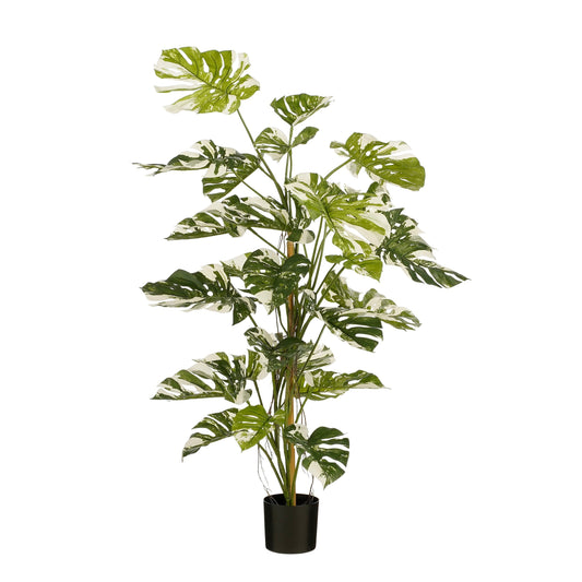 Monstera Tree Green - H140Xd120Cm