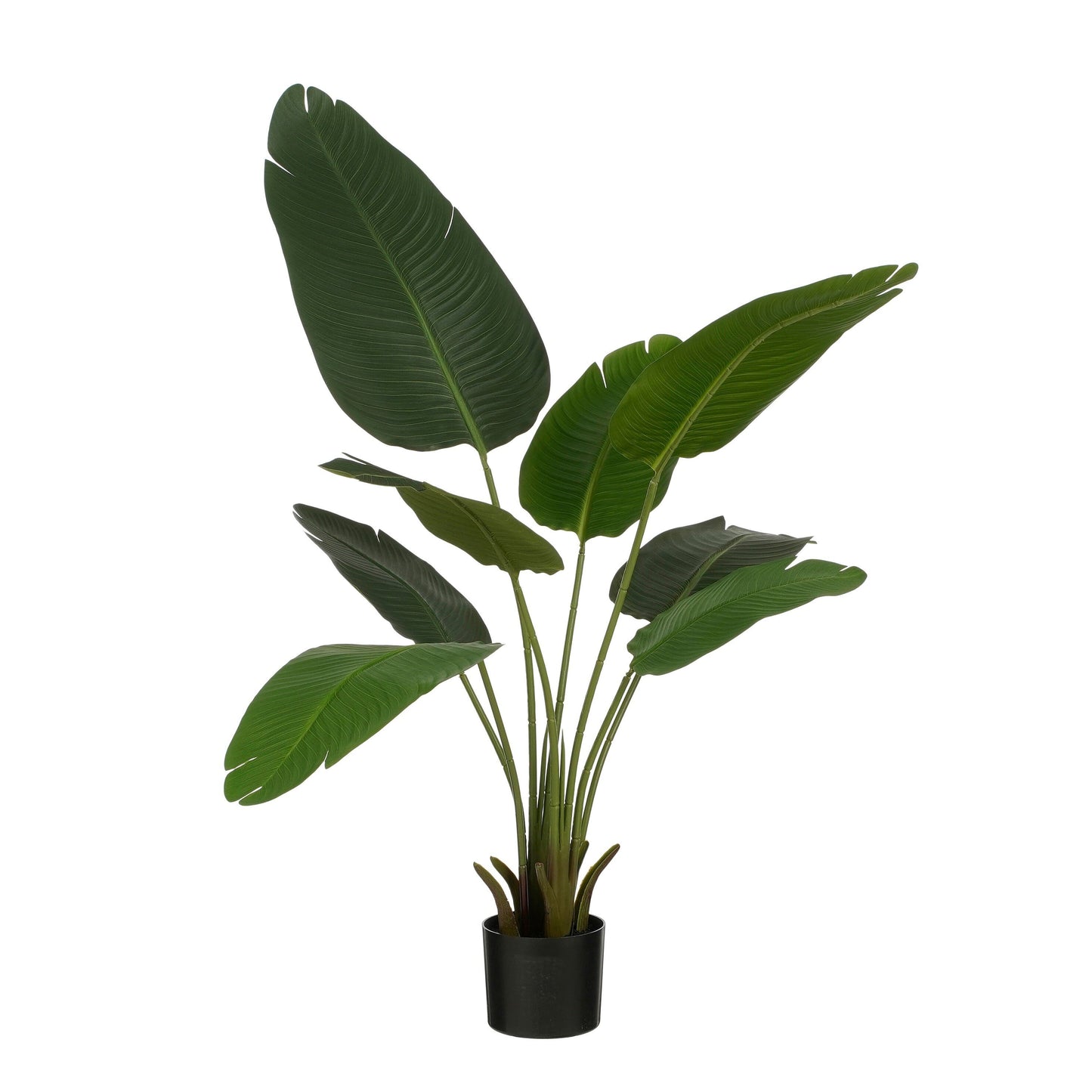 Banana Tree In Pot Green - H120Xd30Cm