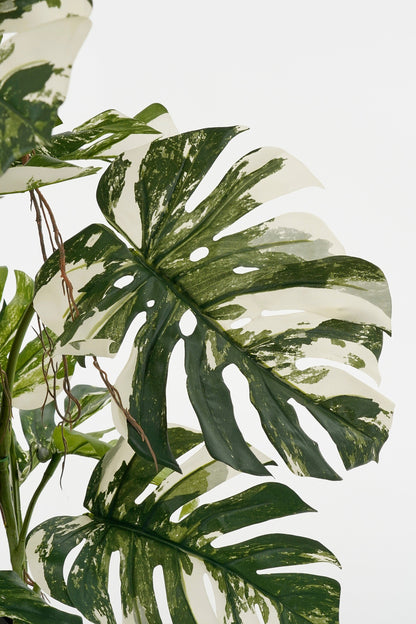Monstera Tree Green - H140Xd120Cm