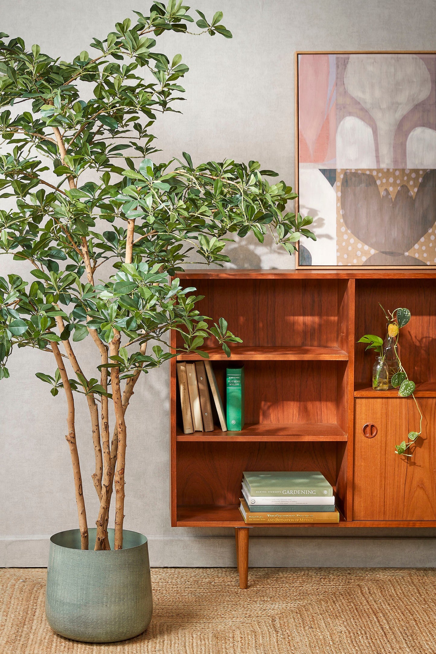 Oriental Olive Tree Green - H183Xd130Cm
