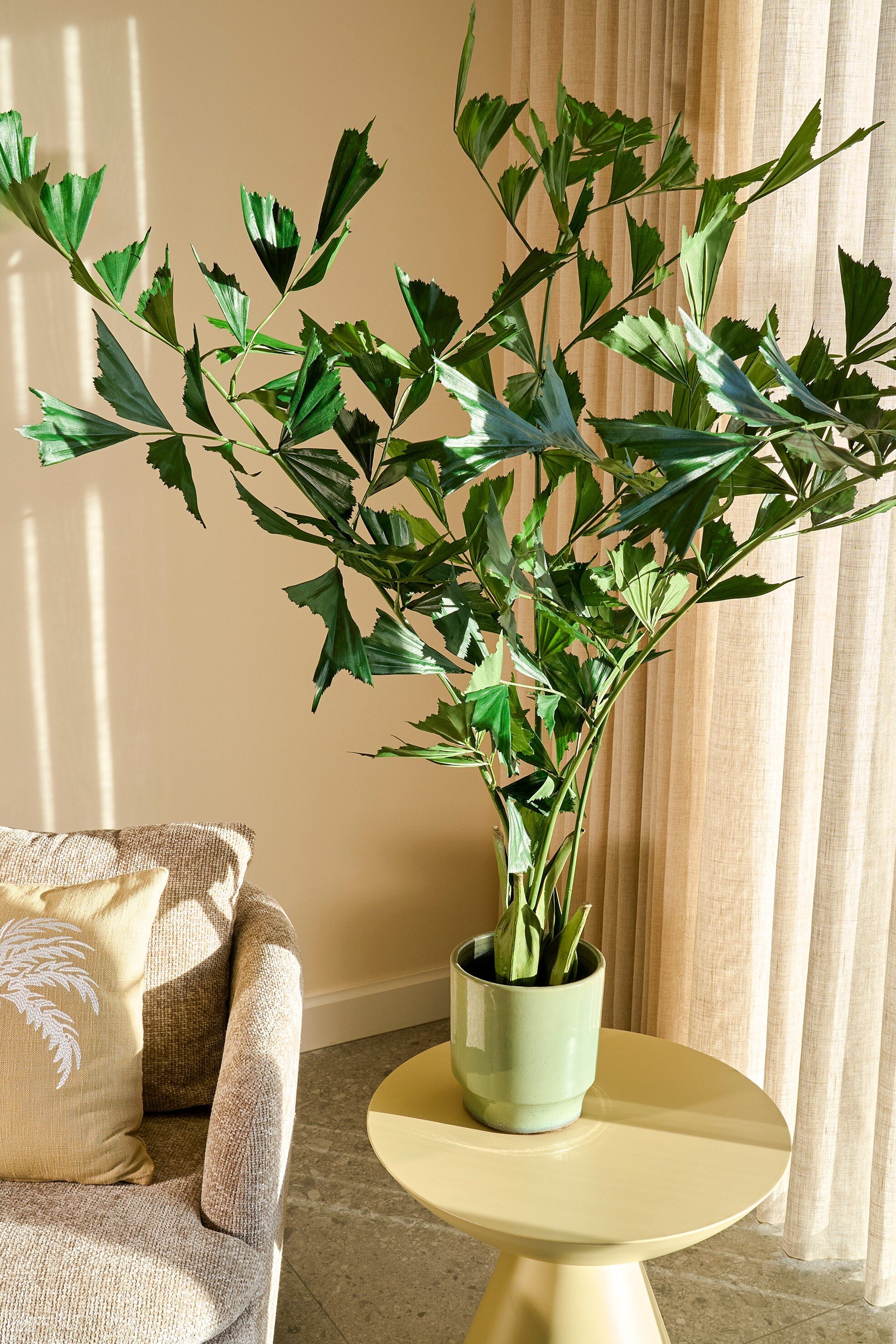 Fishtail Palm In Pot Green - H150Xd100Cm