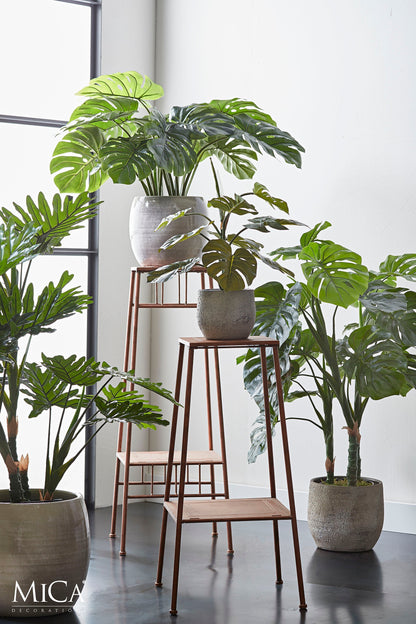 Monstera In Pot Green - H100Xd75Cm