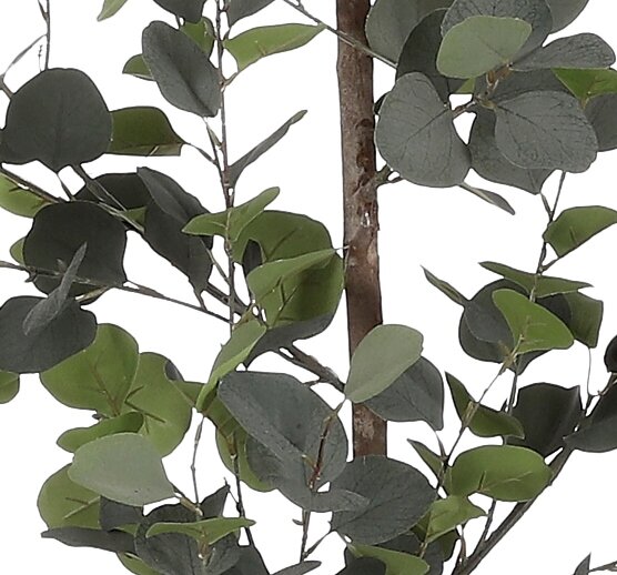 Eucalyptus In Pot Green - H150Xd30Cm