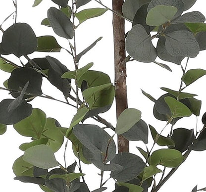 Eucalyptus In Pot Green - H150Xd30Cm