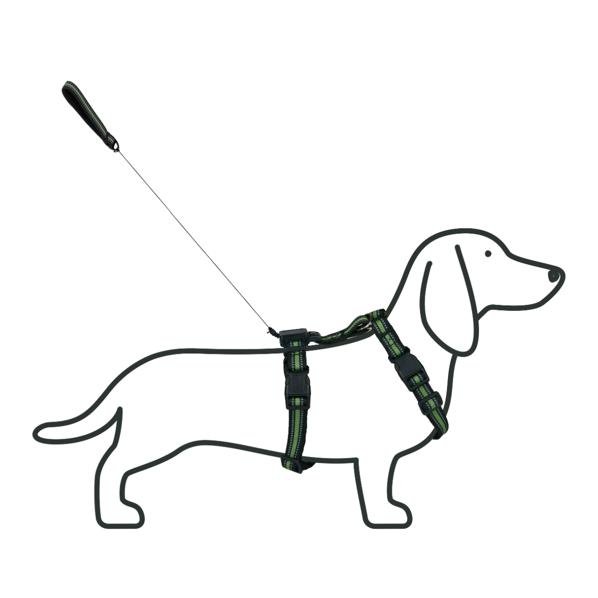 Dog Harness With Retractable Leash Size S