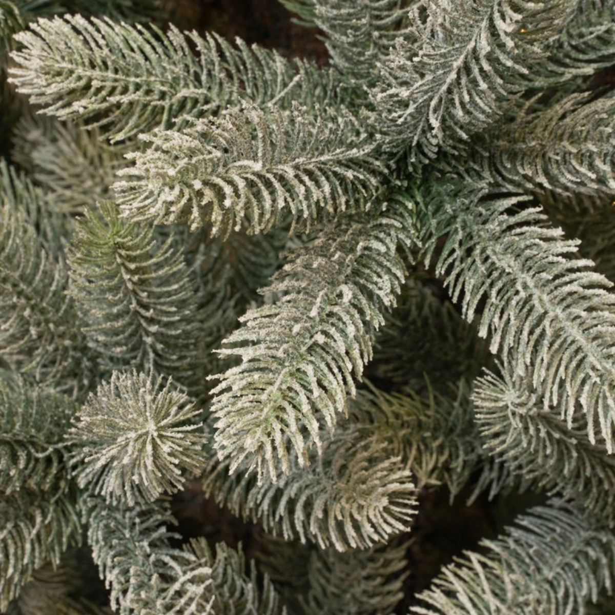 Nagoya X-Mas Tree Green Frosted Tips 2230 - H240Xd138Cm