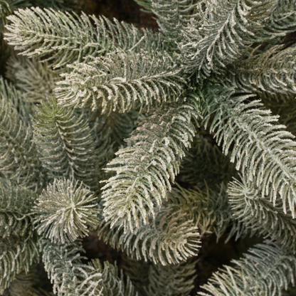 Nagoya X-Mas Tree Green Frosted Tips 2230 - H240Xd138Cm
