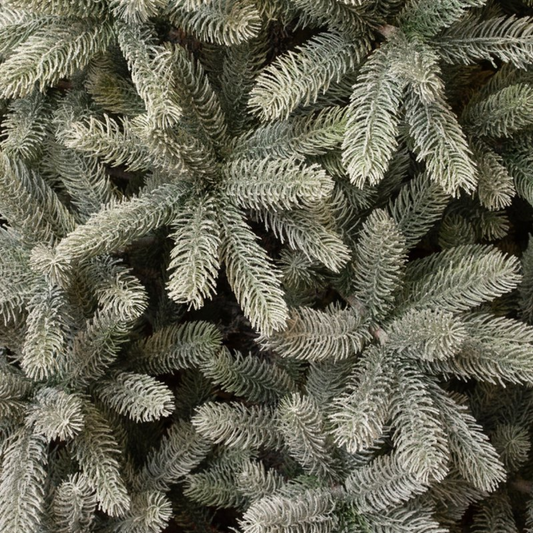 Nagoya X-Mas Tree Green Frosted Tips 2230 - H240Xd138Cm