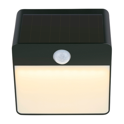 Solar Wall Light