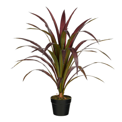 Bananenboom In Pot Rood