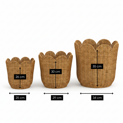 Eleta Mand Set Van 3