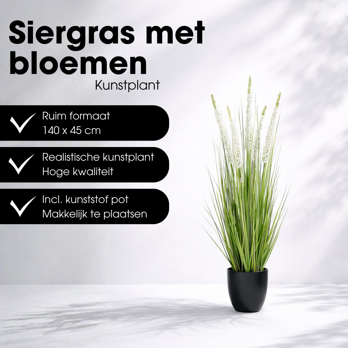 Siergras Eremurus In Pot Wit