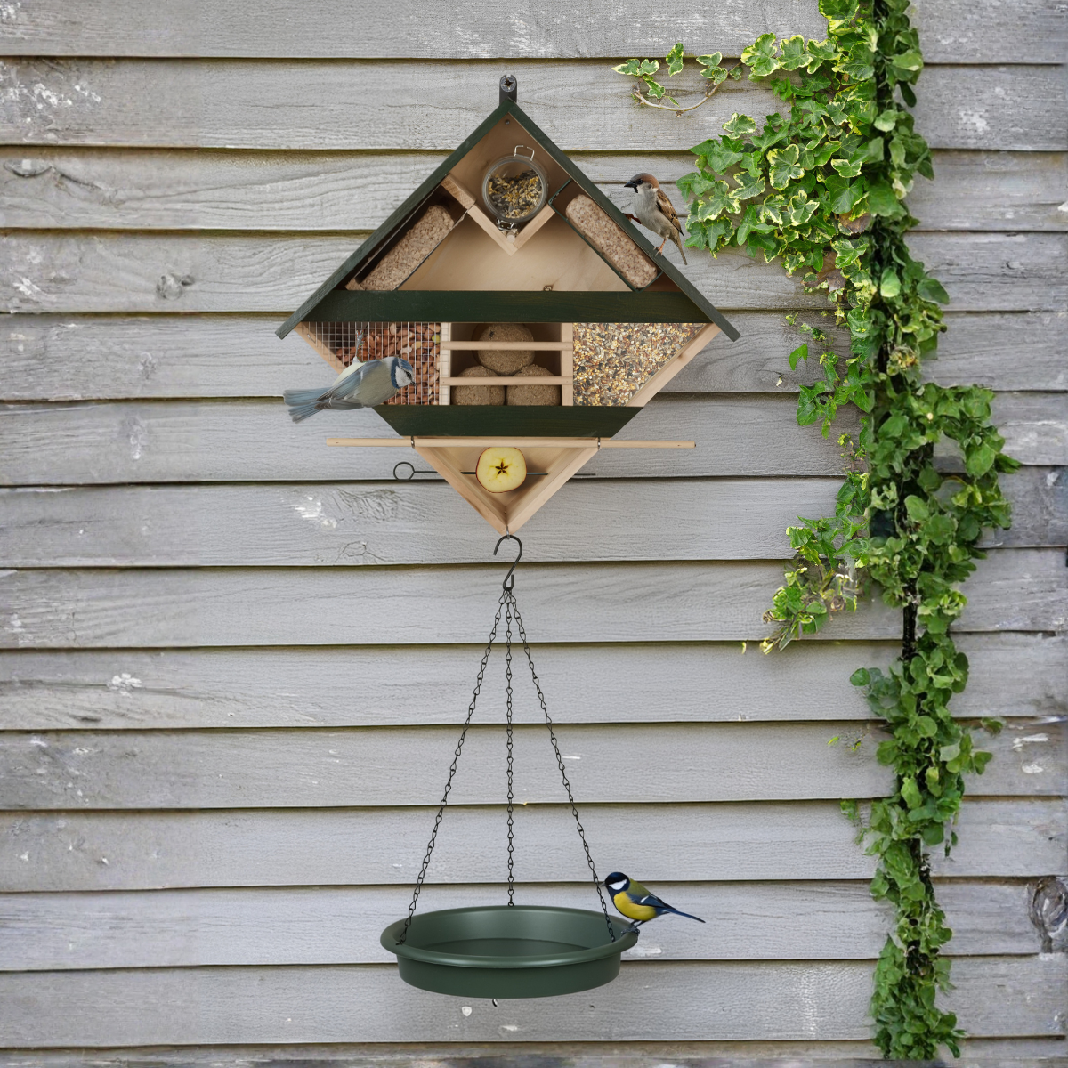 Bird Feeding Station