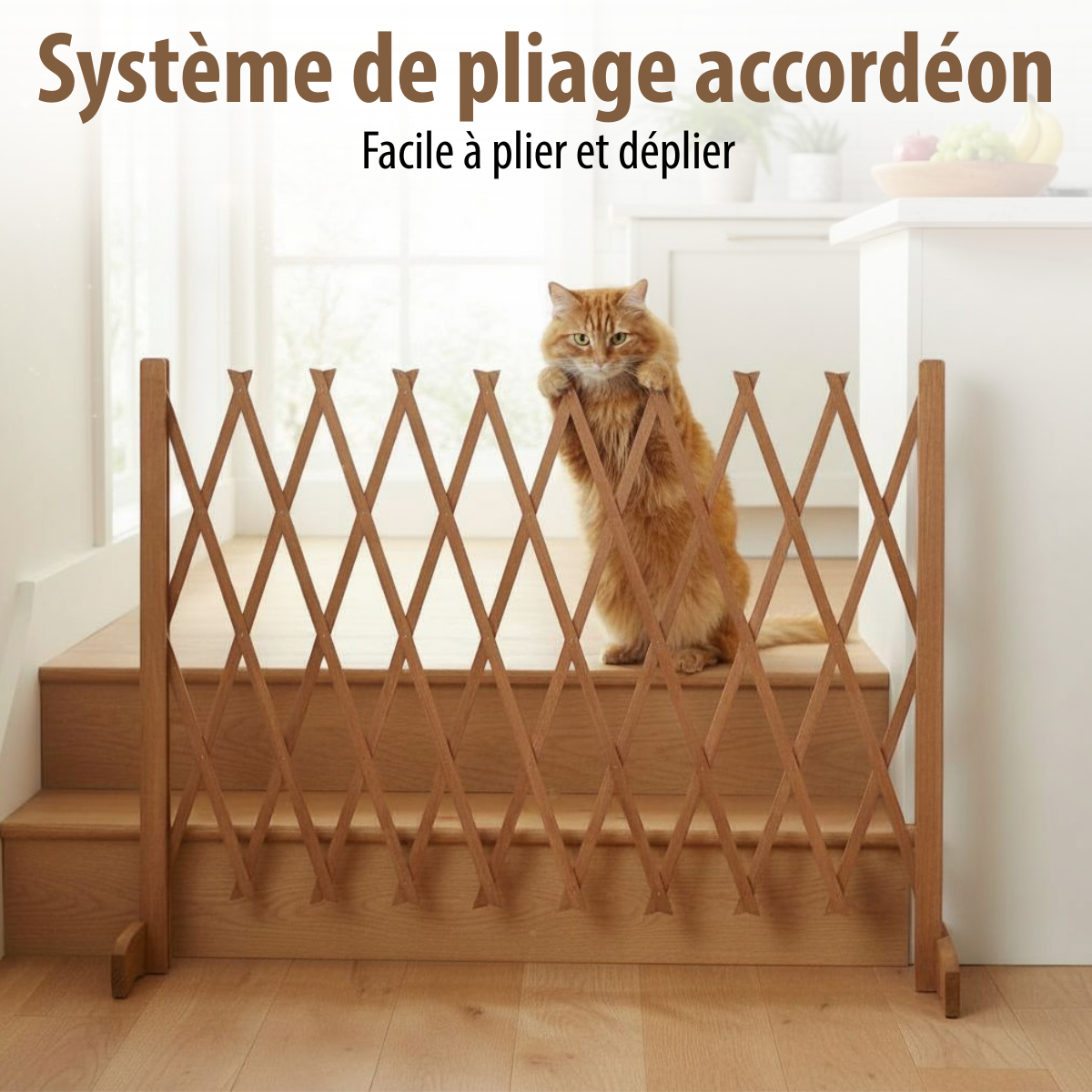 Dog Fence Wood H77X26Cm