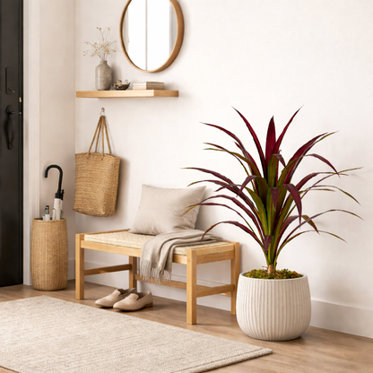 Bananenboom In Pot Rood