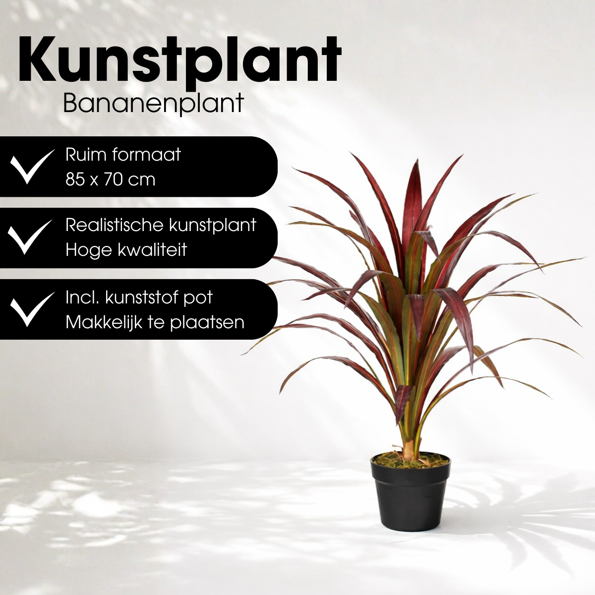Bananenboom In Pot Rood