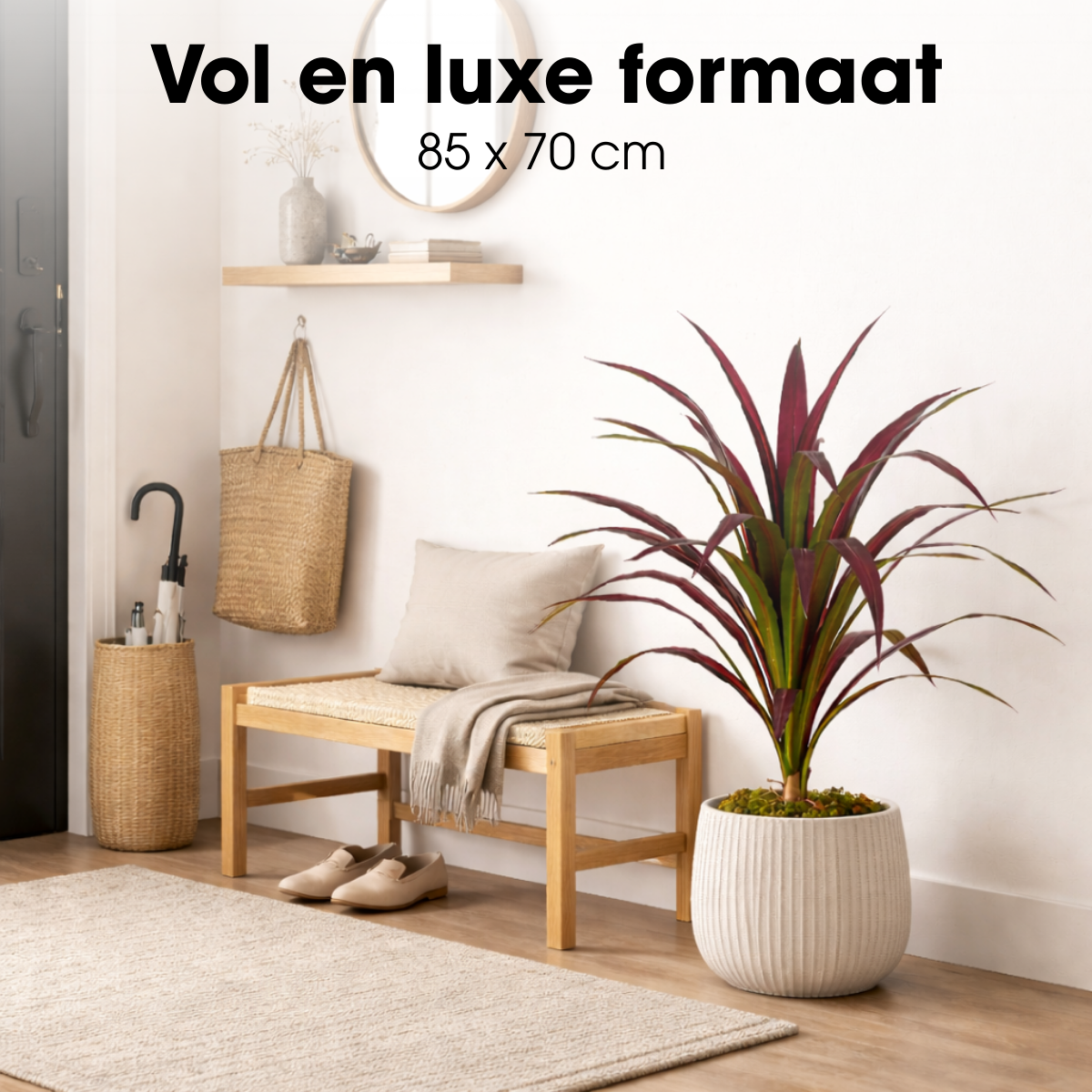 Bananenboom In Pot Rood