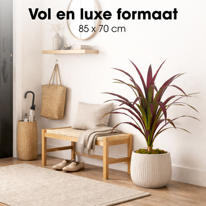 Bananenboom In Pot Rood