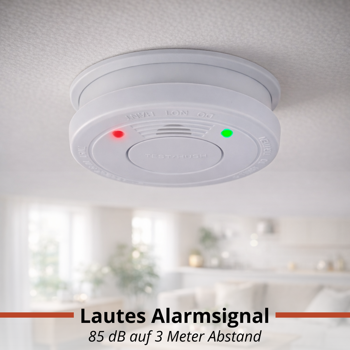 Smoke Alarm 10 Years Batt