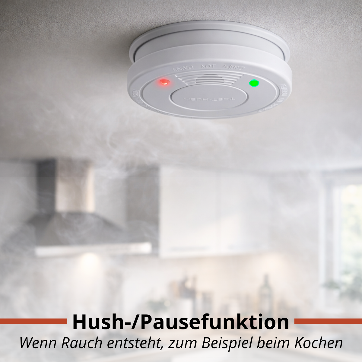 Smoke Alarm 10 Years Batt