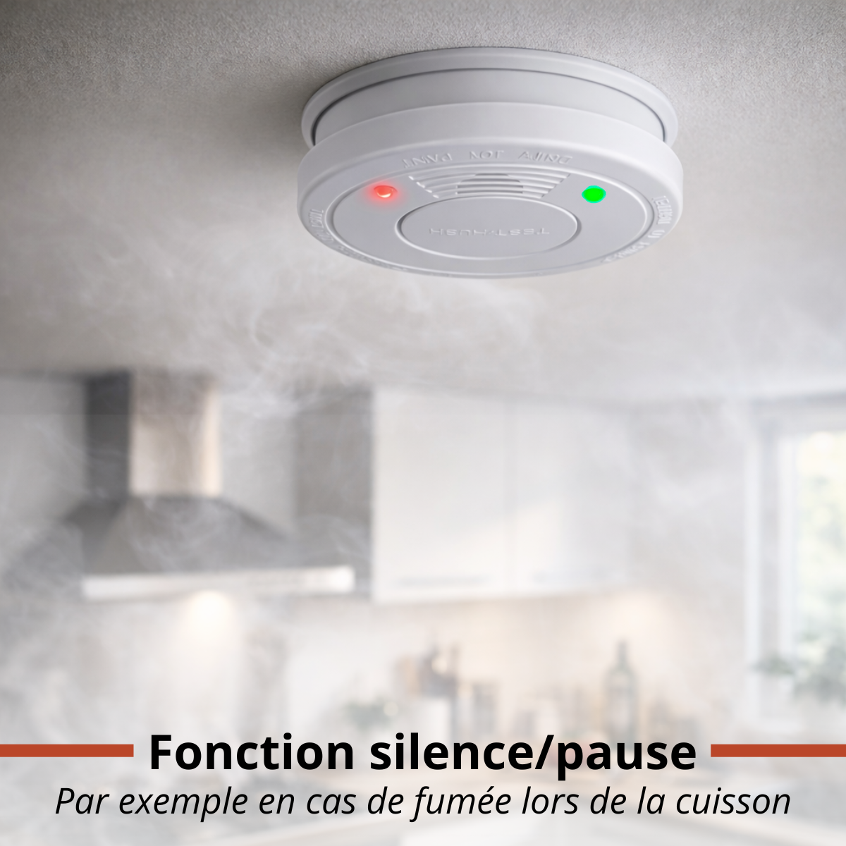 Smoke Alarm 10 Years Batt