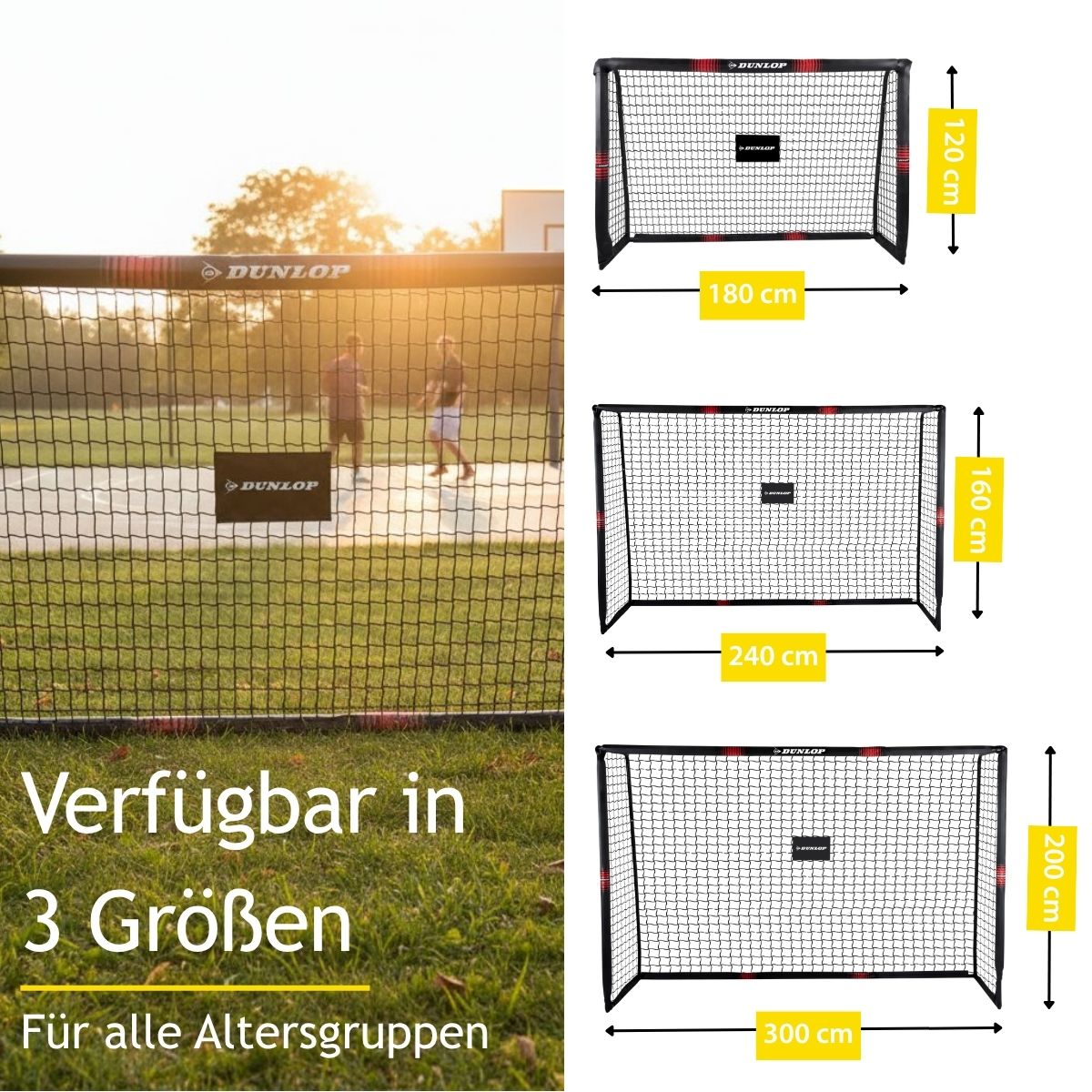 Voetbaldoelen (Set Van 2)