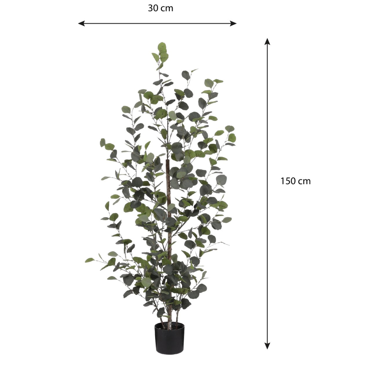Eucalyptus In Pot Green - H150Xd30Cm