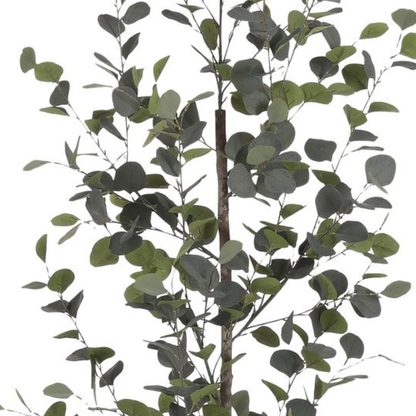 Eucalyptus In Pot Green - H150Xd30Cm