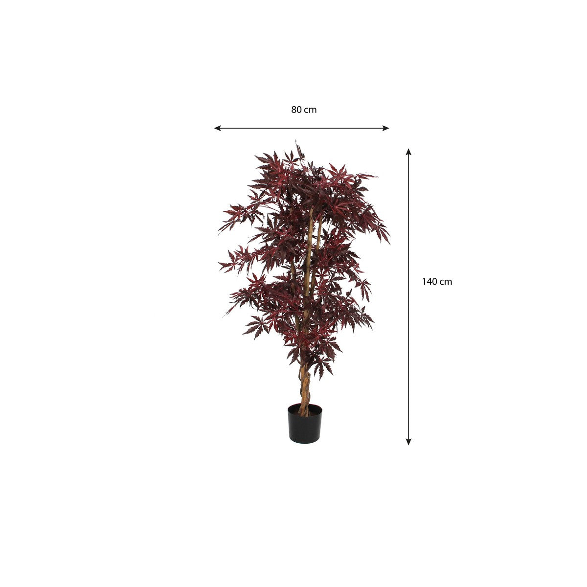 Maple Red In Plastic Pot - H150Xd80Cm