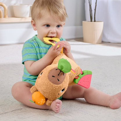 Fisher Price New Born Sensimals Snacky Capibara