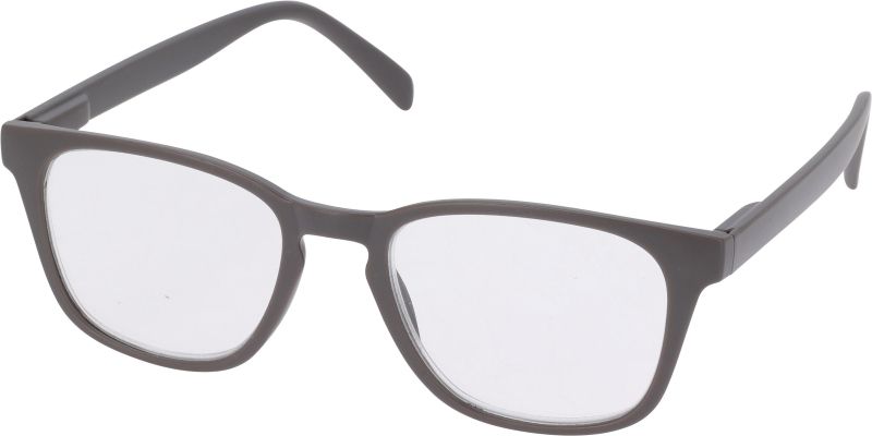Leesbril +2.5 - Set Van 6 - Heren