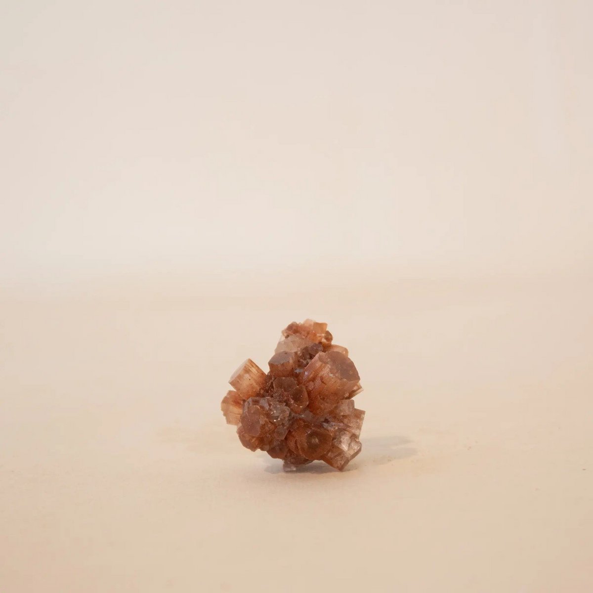 Aragonite Brown