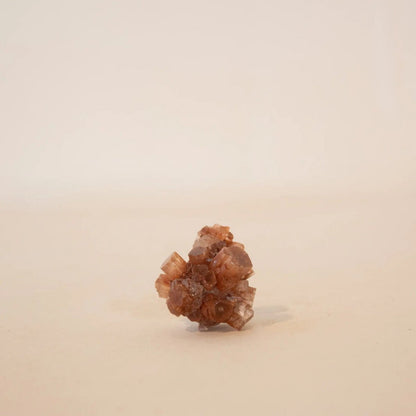 Aragonite Brown