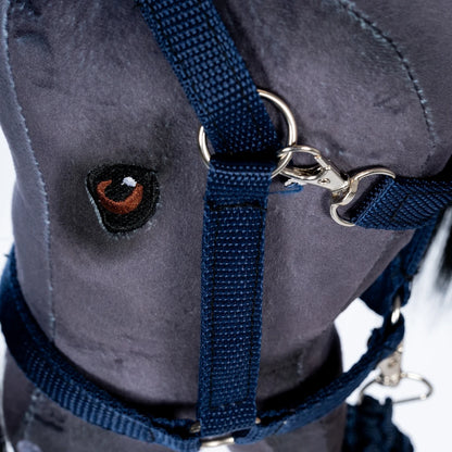 Halster En Halstertouw Blauw