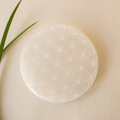 Selenite Plaatbloem Van Het Leven