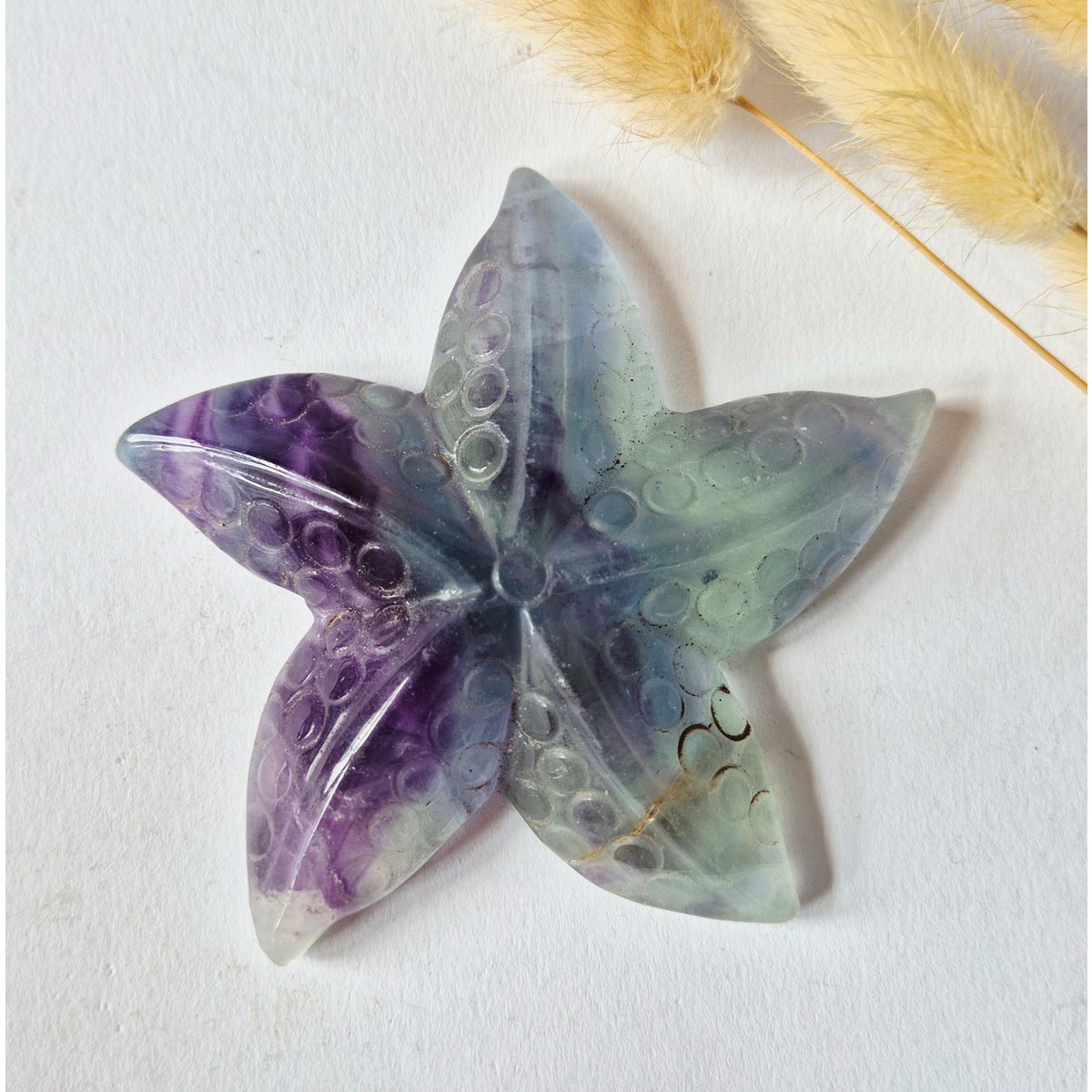 Regenboog Fluoriet Zeester Carving – Ca. 10 Cm #2