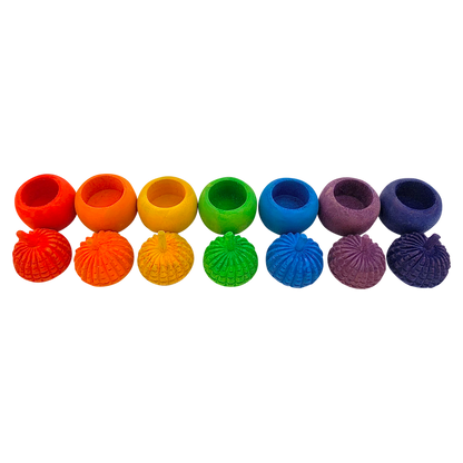 Mini Rainbow Acorn Pots/7Pc