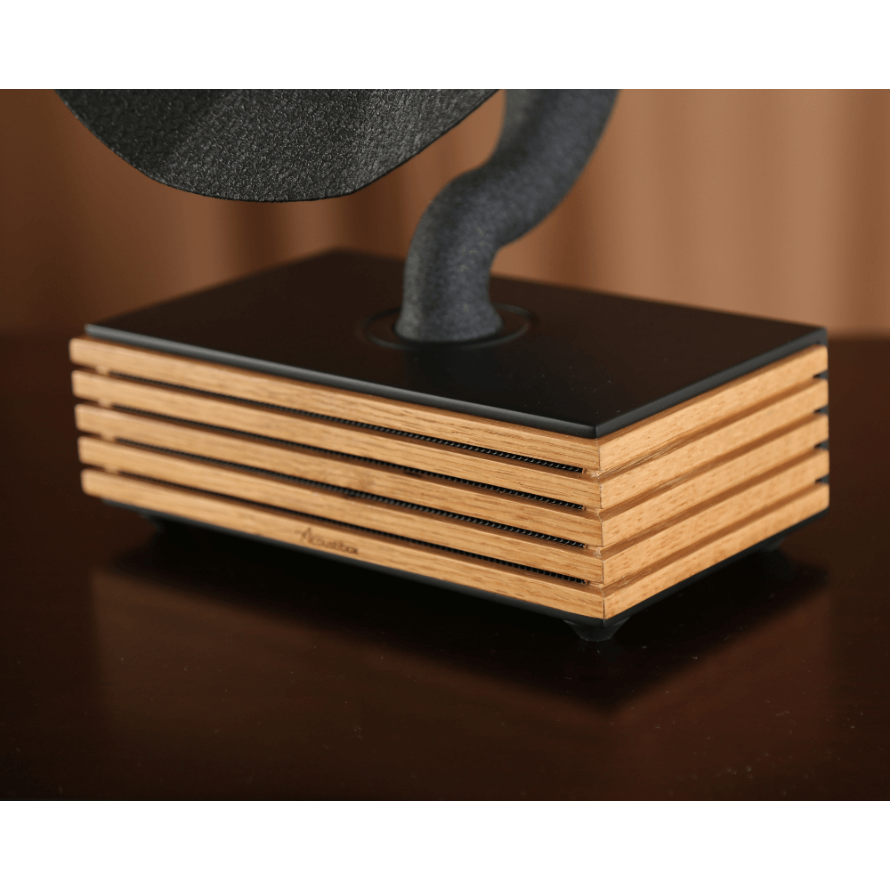 Bluetooth-Luidspreker Acoustibox