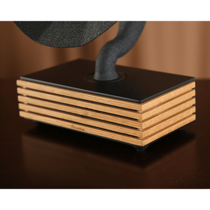 Bluetooth-Luidspreker Acoustibox
