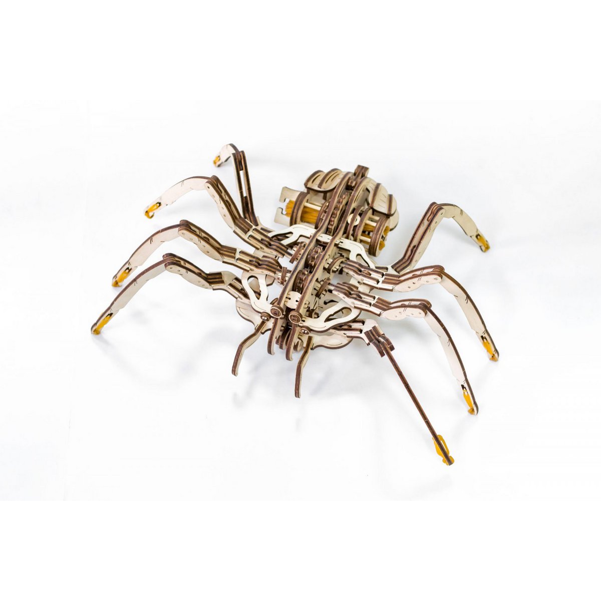 Eco Wood Art (Ewa) 3D Mechanische Houten Puzzel, Spin/ Spider, 488, 24X35X10Cm