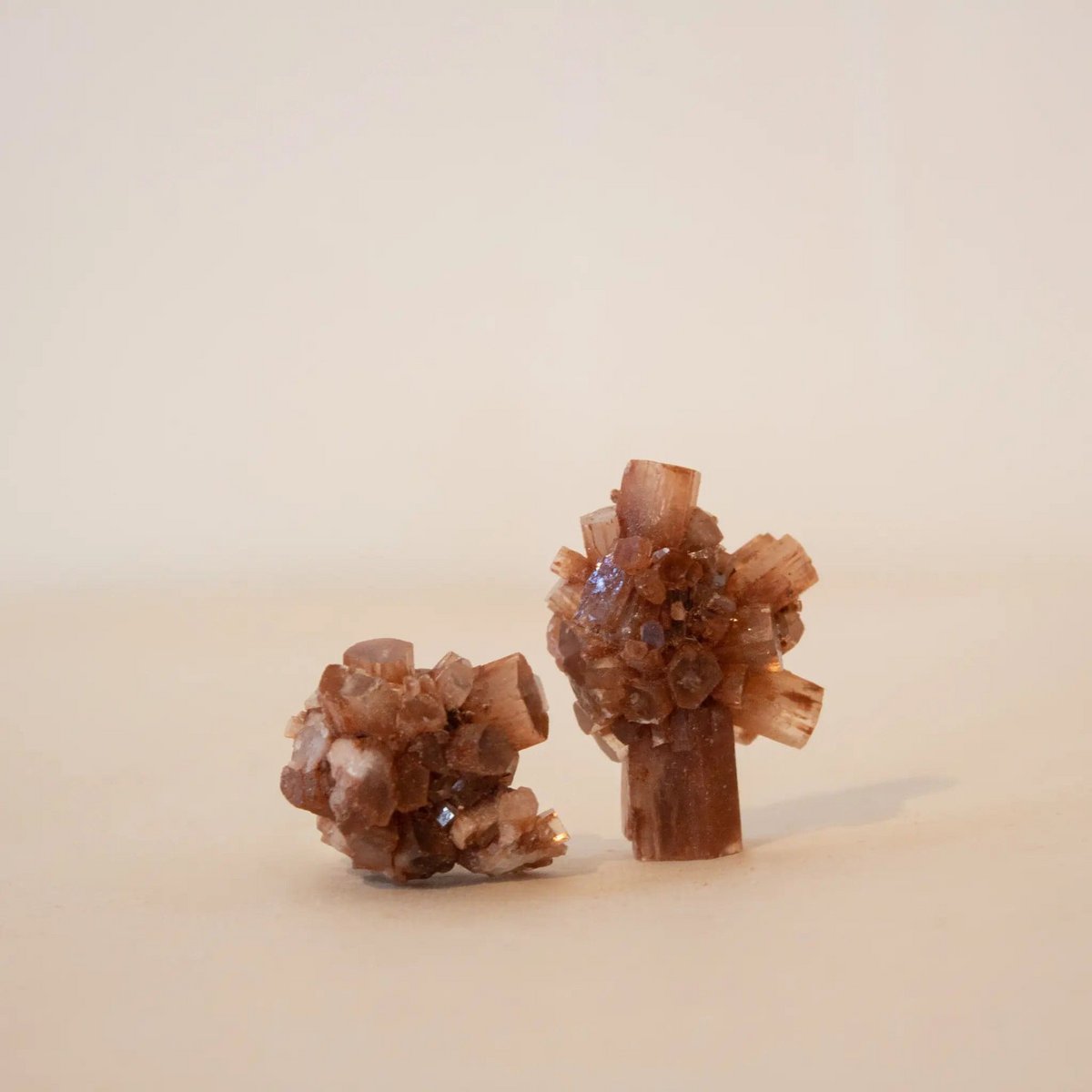 Aragonite Brown