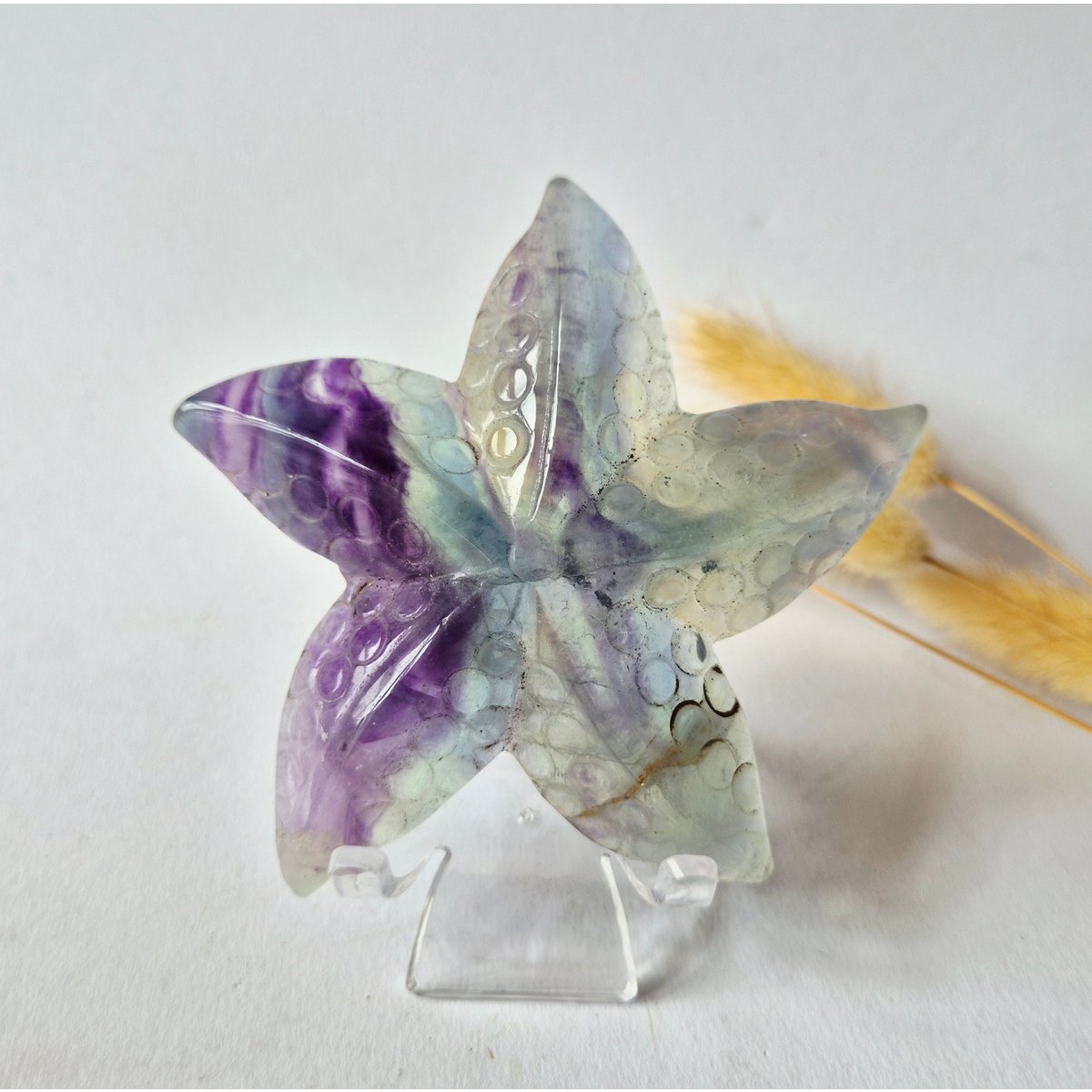 Regenboog Fluoriet Zeester Carving – Ca. 10 Cm #2