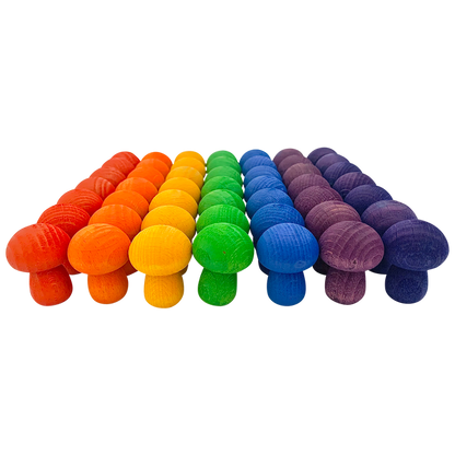 Mini Rainbow Mushroom/49Pc