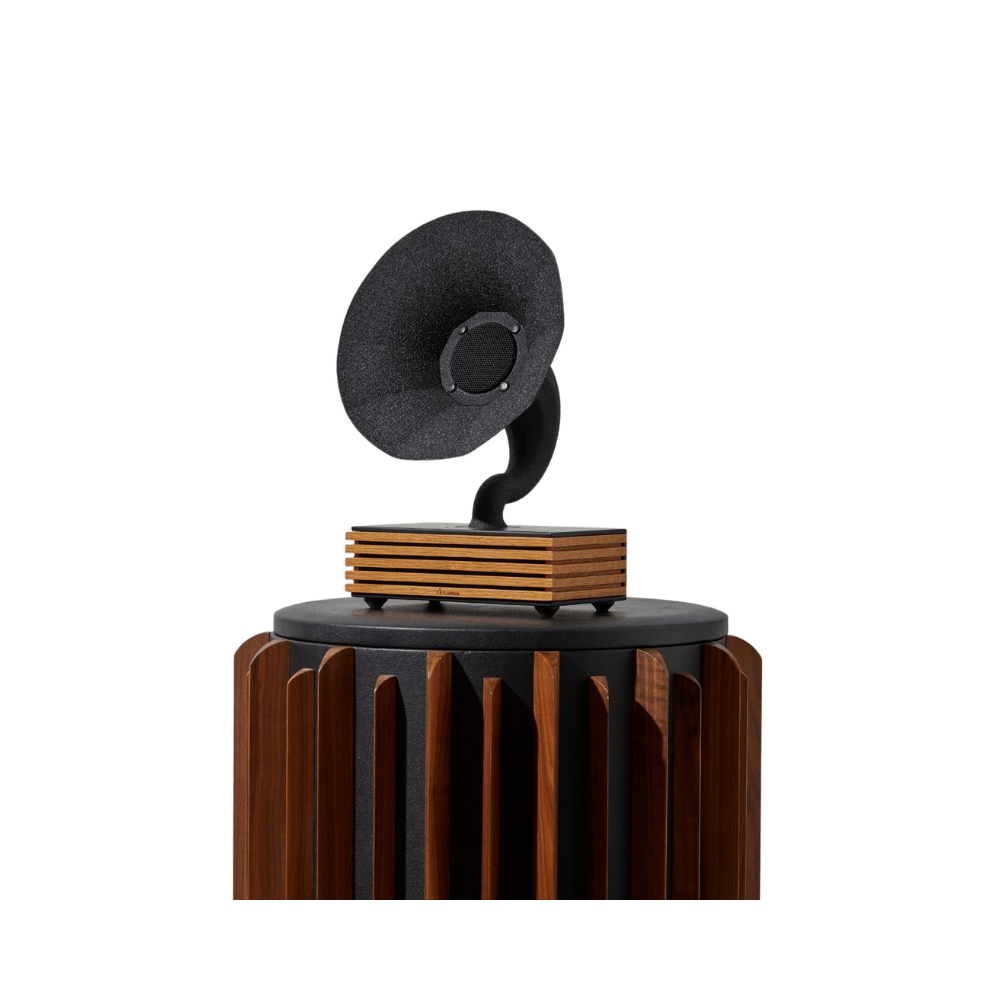 Bluetooth-Luidspreker Acoustibox