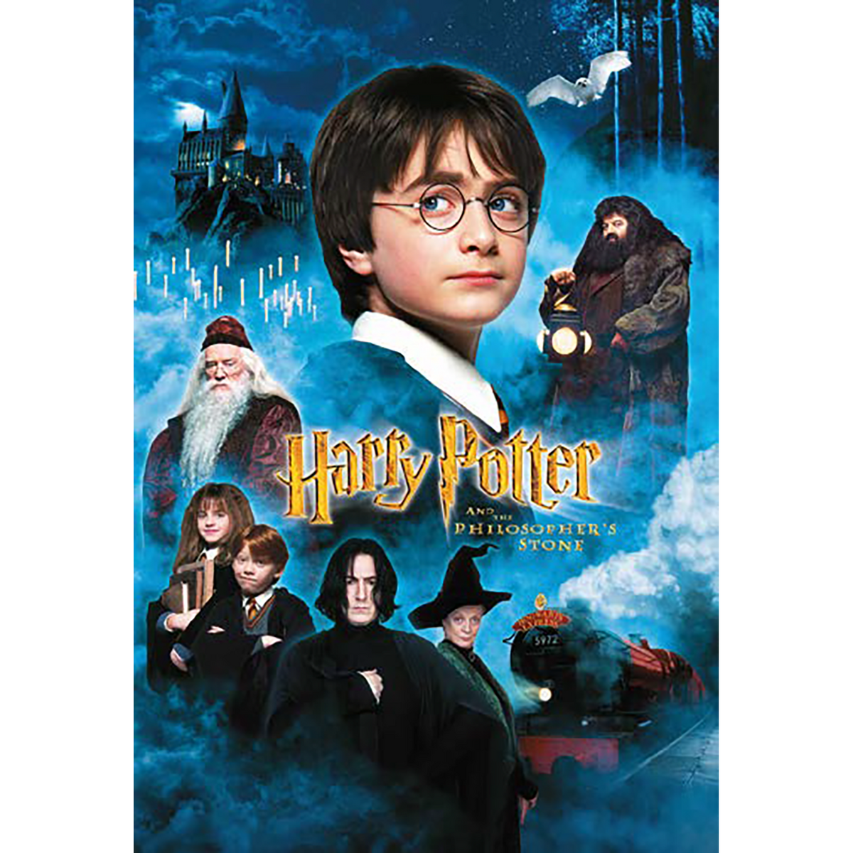 Harry Potter - Puzzel 50 Stukjes - Harry Potter En De Steen Der Wijzen